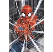 Maxiposter Spiderman gotch 61x91,5 cm-thumb-1