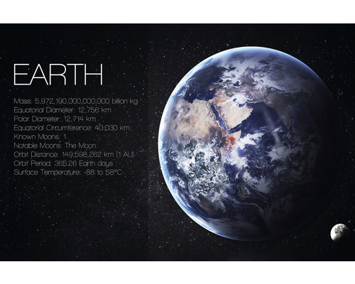 Decopanel The Earth 60x90 cm | HORNBACH