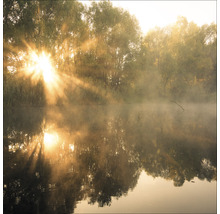 Morgensonne durchdringt Nebel über einem See mit Bäumen