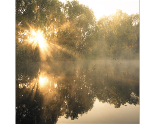 Glasbild Sun At The Pond 30x30 cm