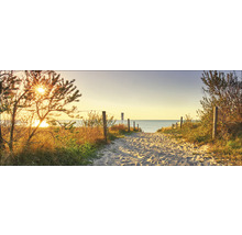 Sandweg zum Meer mit Holzpfosten und Vegetation bei Sonnenaufgang