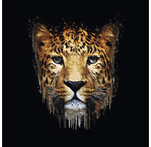 Glasbild Leopard Illustration 80x80 cm