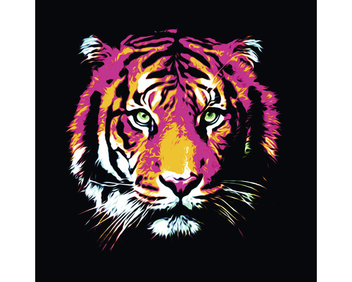 Glasbild Colored Tiger 80x80 cm-0