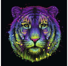 Illustration eines Tigerkopfes mit Farbspritzern