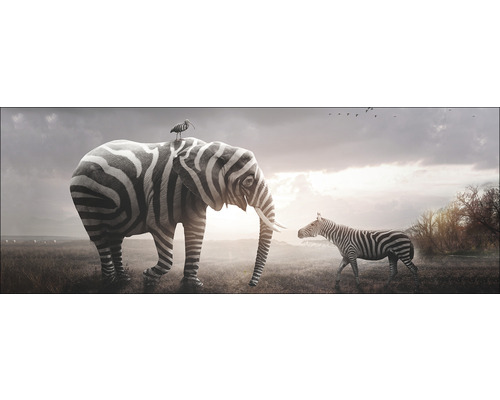 Glasbild Striped Animal Meeting 30x80 cm