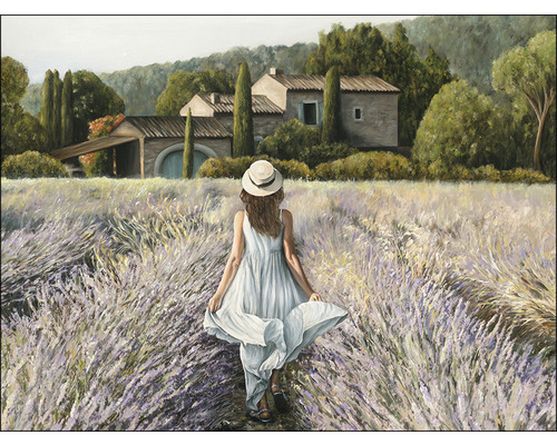 Leinwandbild Lavendelfeld 84x116 cm