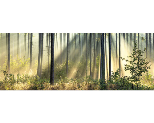 Leinwandbild In The Forest I 27x77 cm