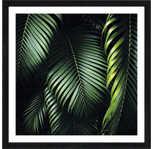 Gerahmtes Bild von tropischen Blättern als Wanddekoration