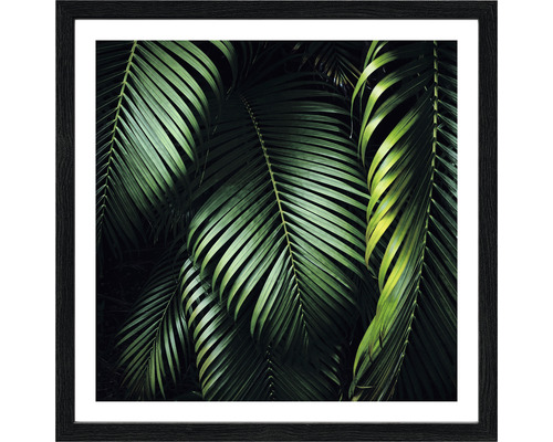 Gerahmtes Bild von tropischen Blättern als Wanddekoration