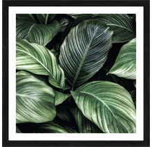 Gerahmtes Bild mit Blättern