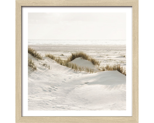 Gerahmtes Bild einer Dünenlandschaft am Meer