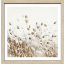 Gerahmtes Bild mit Grasähren