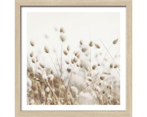 Gerahmtes Bild mit Grasähren