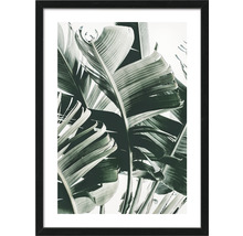 Gerahmtes Bild mit Bananenblattmotiv