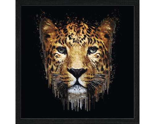 Gerahmtes Bild Jaguar in jungle cm HORNBACH | 33x43