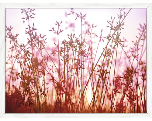 Gerahmtes Bild Meadow Flowers 33x43 cm