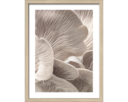 Gerahmtes Bild Mushrooms 33x43 cm