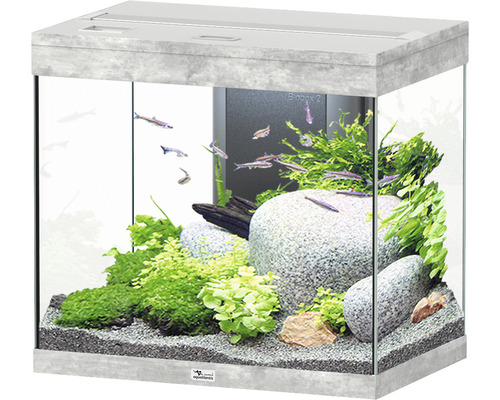 Aquarium aquatlantis Splendid 110 inkl. Beleuchtung, Filter Steinoptik