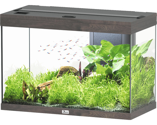 Aquarium aquatlantis Splendid 145 inkl. Beleuchtung, Filter Wildeiche dunkel Aquarium mit Pflanzen und Fischen