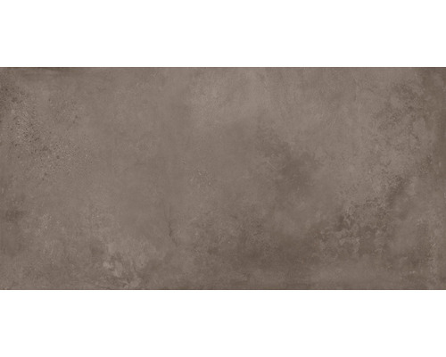 Feinsteinzeug Wand- und Bodenfliese Loftstone 120 x 59,5 cm taupe