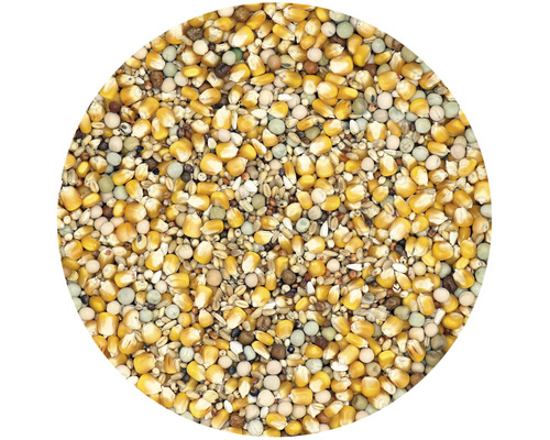 Mischung aus Vogelfutter mit Mais und Erbsen