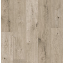 HANDMUSTER zu Boden Laminat Masterfloor AQUA 8.0 Oak Ferrara Chillmont