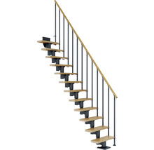 Pertura Mittelholmtreppe Spiros Anthrazit Gerade 75 cm Stabgeländer Eiche Lackiert 12 Stufen / 13 Steigungen