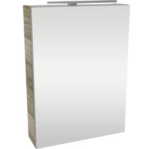Spiegelschrank FACKELMANN SBC Small Bathroom Collection 500 x 16,2 x 680 mm steinesche 1-türig LED rechts