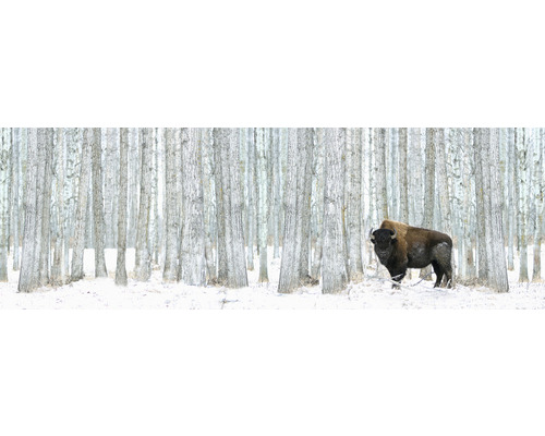 Ein Bison steht in einem verschneiten Wald.