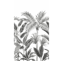 Illustration tropischer Pflanzen, darunter Palmen und Bananenstauden