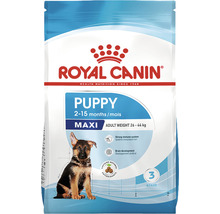 Hundefutter trocken ROYAL CANIN Maxi Puppy für Welpen großer Rassen 15 kg-thumb-2