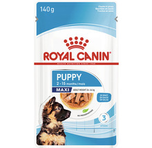 Royal Canin Maxi Puppy Hundefutter im 140 Gramm Beutel