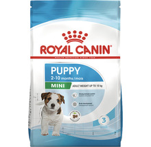 Royal Canin Logo Welpenfutter für kleine Rassen bis 10 kg Endgewicht, geeignet für Welpen von 2 bis 10 Monaten