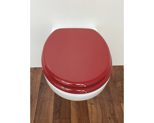 Toilettensitz mit Deckel