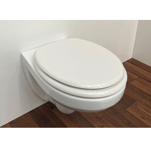 Wandhängendes WC mit Toilettendeckel