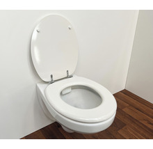 Wandhängendes WC mit offenem Toilettendeckel