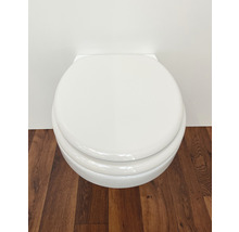 Wand-WC mit Toilettendeckel auf Holzboden