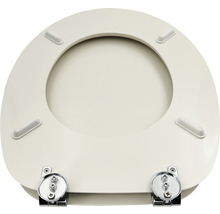 Toilettendeckel mit Scharnieren aus Metall