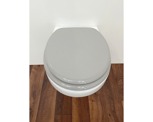 Wand-WC mit grauem WC-Sitz auf Holzboden