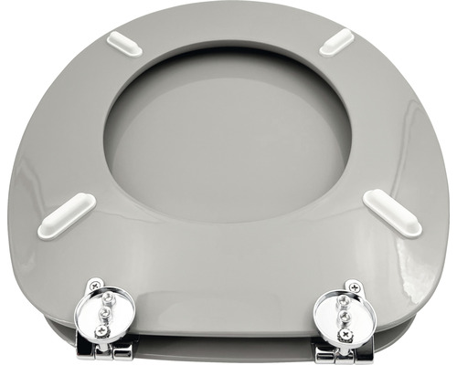 Toilettensitz mit verchromten Scharnieren und Befestigung