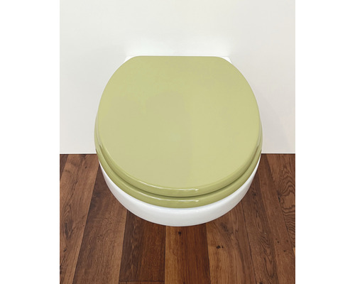 Toilette mit geschlossenem Deckel