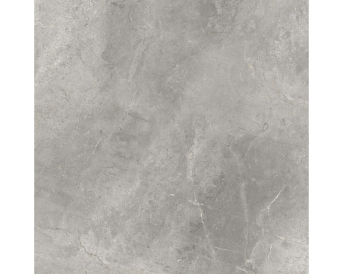 Graue Bodenfliese mit Marmoroptik
