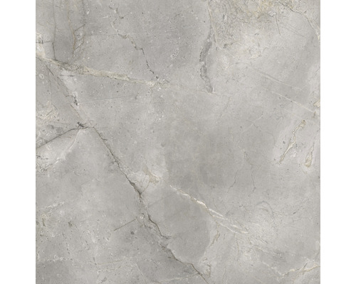 Graue Bodenfliese mit Marmoroptik