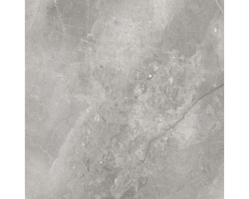 Graue Bodenfliese mit Marmoroptik