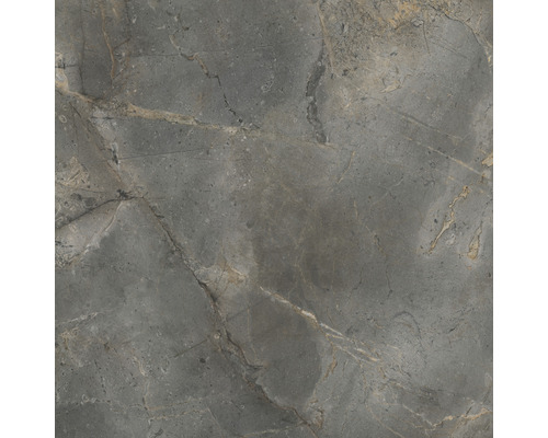 Graue Bodenfliese mit Marmoroptik