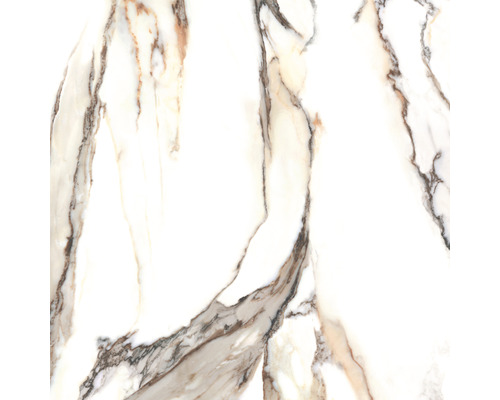 Muster einer Bodenfliese mit Marmoroptik