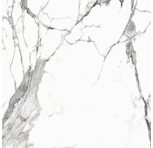 Feinsteinzeug Wand- und Bodenfliese Calacatta 119,7 x 119,7 x 0,8 cm weiß matt rektifiziert-thumb-2