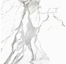 Feinsteinzeug Wand- und Bodenfliese Calacatta 119,7 x 119,7 x 0,8 cm weiß matt rektifiziert-thumb-6
