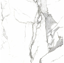 Feinsteinzeug Wand- und Bodenfliese Calacatta 119,7 x 119,7 x 0,8 cm weiß matt rektifiziert-thumb-3
