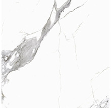 Feinsteinzeug Wand- und Bodenfliese Calacatta 119,7 x 119,7 x 0,8 cm weiß matt rektifiziert-thumb-4